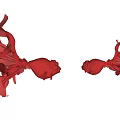 Two Rose Petal Shaped Purple Red Aquatic Animals With Flowing Fins And Elegant White Background
