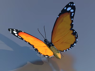 Butterfly Flying Butterfly Colored Butterfly Tabby Butterfly Leaf Butterfly Chicken Butterfly Yellow Butterfly Flying Butterfly 3d model