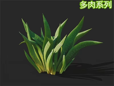 Succulent Plant with Green Long Leaves and Fresh Foliage on Black Background with Shadows 3d model