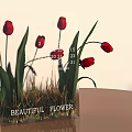 Red Tulips With Green Leaves In Transparent Container Featuring Beautiful Flower Label And Size Measurements