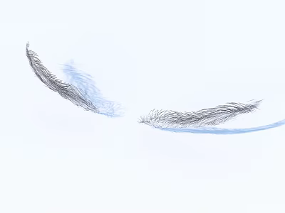 Elegant Soft Gray And Blue Feather Decorative Items For Home Interior Styling 3d model