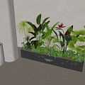 Flower Box Flower Box Plant Combination Green Plant Flower Box Plant Stack Landscape Landscaping Green Plant Flower Box Mobile Cement Flower Pond Flower Garden 3d model