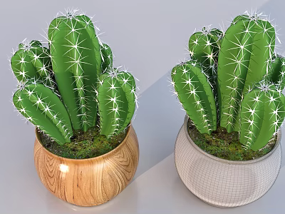 Bonsai Potted Plants Green Cactus With White Thorns In Wooden And Gray Grid Pots 3d model