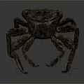 Realistic Crab With Detailed Textured Shell And Multiple Legs 3D Rendering 3d model