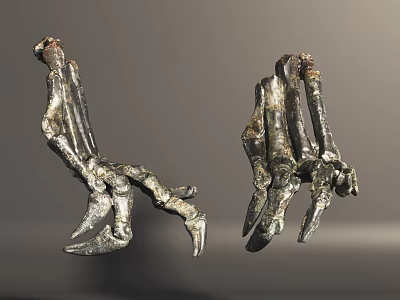 Ancient Fossil Claws Pair With Metallic Texture And Sharp Talons 3d model