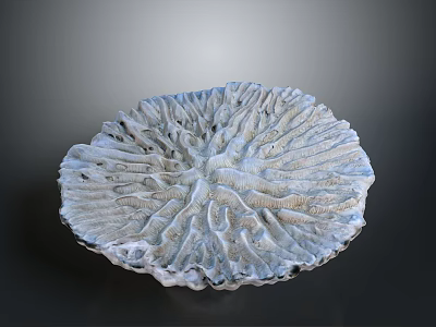 Coral Polyps Creating Circular Colony With Radiating Ridges And Pale Gray Textured Surface 3d model