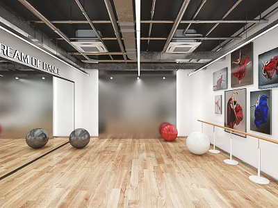 REAMU Fitness Studio Featuring Mirror Walls Wooden Floors Fitness Balls Dance Barres And Art Paintings 3d model