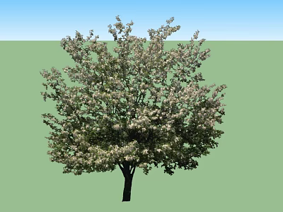 Arbor With Lush Green Leaves And White Flowers Against Blue Sky Background 3d model