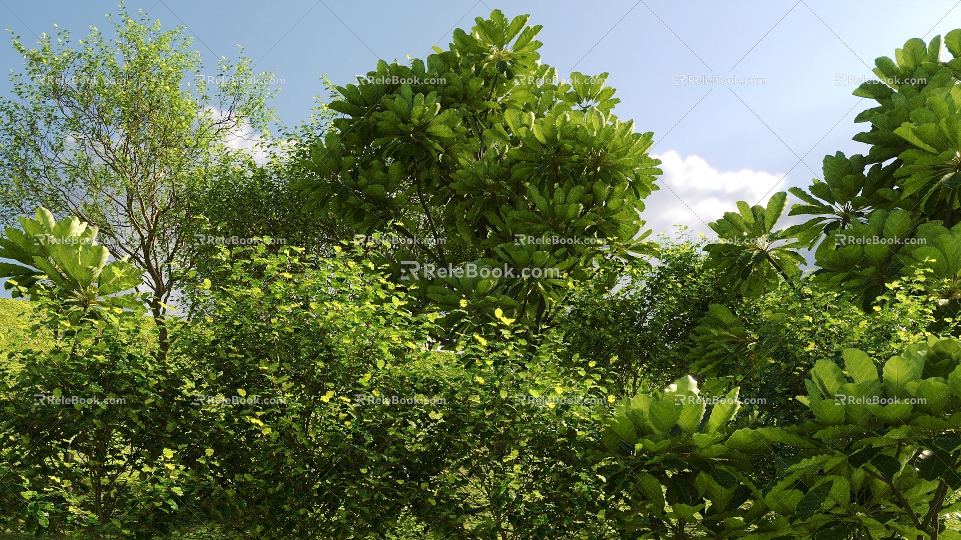 Modern flowers and plants combination landscape shrub shrub plant combination natural landscape 3d model