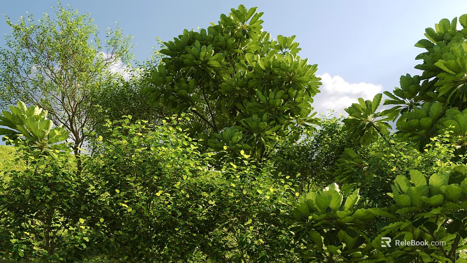 Lush Green Shrubs With Vibrant Foliage In Sunlit Natural Setting Surrounded By Trees 3d model 