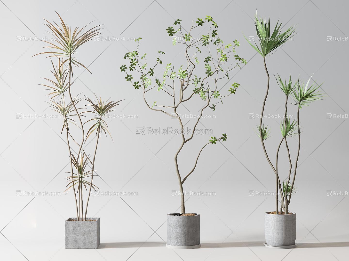 green plant potted plant green plant potted plant 3d model