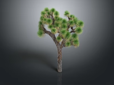 Joshua Tree With Brown Trunk And Green Needle Like Leaves In Unique Shape 3d model