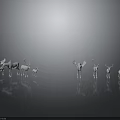 Various Sizes White Deer Figurines With Antlers And Wings On Reflective Surface