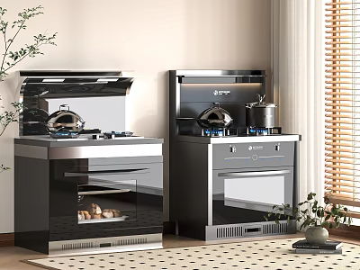 Modern Stainless Steel Kitchen Appliances with Gas Stoves Hoods Oven in Space with Plants Blinds 3d model