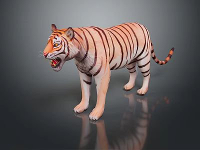 Realistic Standing Tiger Model With Striped Fur Open Mouth And Reflection On Dark Surface 3d model