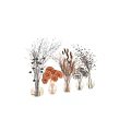 Natural Dried Flower Arrangement In Glass Vases With Various Types For Neutral Home Decor