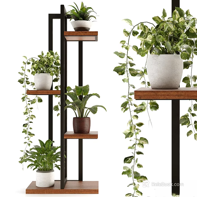 Stylish Plant Decor Arrangement With Multi Tiered Wooden Shelves And Hanging Green Plants 3d model 