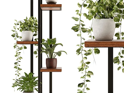 Stylish Plant Decor Arrangement With Multi Tiered Wooden Shelves And Hanging Green Plants 3d model