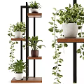 Stylish Plant Decor Arrangement With Multi Tiered Wooden Shelves And Hanging Green Plants