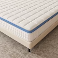 Comfortable Beige Mattress With Blue Edge And Padded Headboard Pillows Nightstand Plant And Window Curtains