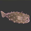 Detailed Spiky Puffer Fish Figurine With Large Eyes And Textured Body Surface
