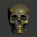 Golden Metallic Human Skull Decorative Sculpture With Detailed Facial Features And Glossy Surface
