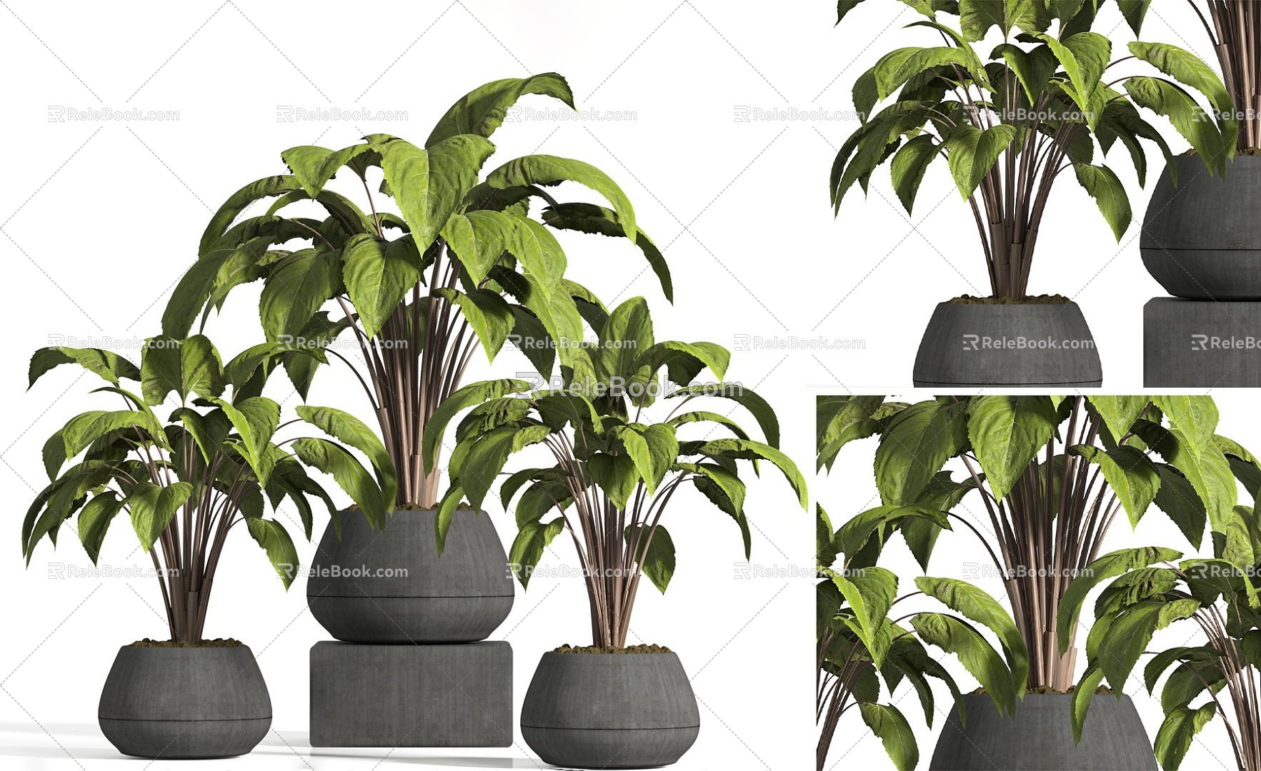 Modern Indoor Potted Plant Green Plant Potted Plant Outdoor Green Plant Potted Plant Potted Plant Potted Plant Potted Plant Potted Plant model