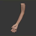 Multiple Arm Models With Different Hand Poses Arranged On Gradient Background With Reflections 3d model