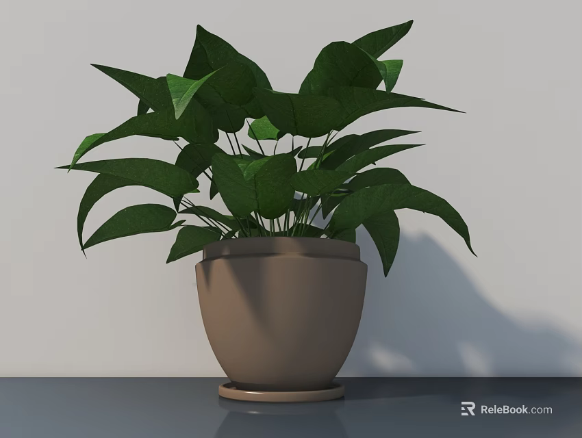 Indoor Plant With Large Green Leaves In Brown Pot On Gray Surface With White Wall 3d model 