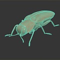 Modern beetles of the genus Giddinium Narrow Giddinium 3d model