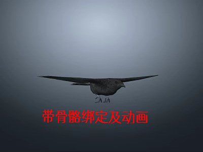 3D Flying Bird With Rigging And Animation Features 2.4 Version Design 3d model