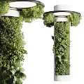 Hanging Basket Plants With Lush Green Foliage For Indoor Natural Home Decor Style