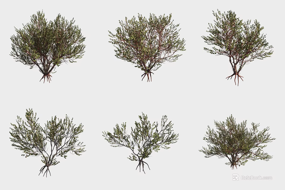 Different Types of Garden Shrubs with Exposed Roots and Green Foliage 3d model 