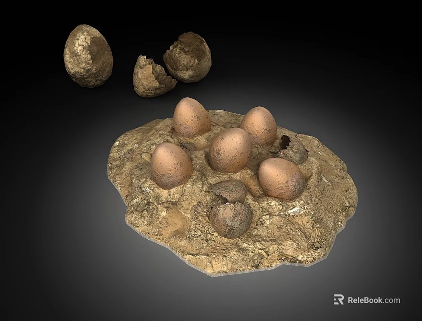 Whole and Cracked Eggs Displayed on Rocky Earthy Base Surface Arrangement 3d model 