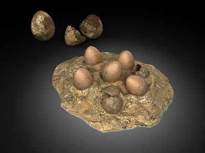 Whole and Cracked Eggs Displayed on Rocky Earthy Base Surface Arrangement 3d model