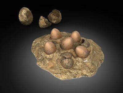 Whole and Cracked Eggs Displayed on Rocky Earthy Base Surface Arrangement 3d model