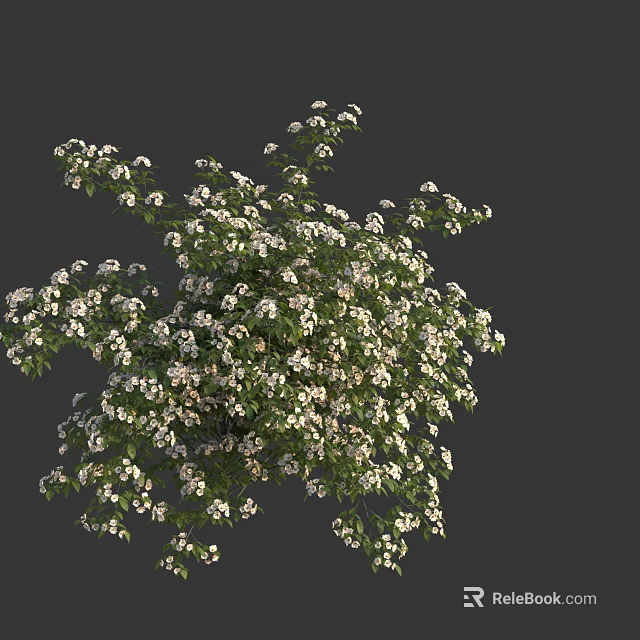 Lush Green Bush With White Small Flowers Against Gray Background 3d model 