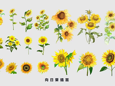 Vibrant Sunflower Illustrations As Decorative Wall Decor For Home Interior 3d model