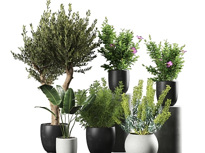 Modern Green Plant Potted Plant Combination Plant Stack Outdoor Plant Flowerpot Flower Shrubs Trees Ceramic Flowerpot Plant Landscape Tree Landscape Green Plant 3d model