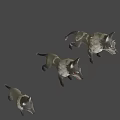 Three Fierce Cartoon Wolf 3D Models With Red Eyes And Gray White Fur