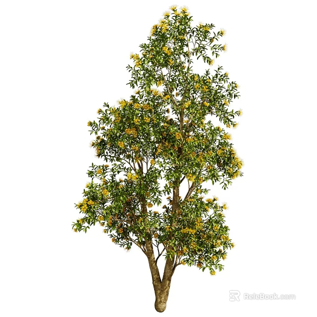 Lush Green Leafy Tree with Yellow Blossoms and Brown Trunk Isolated on White 3d model 