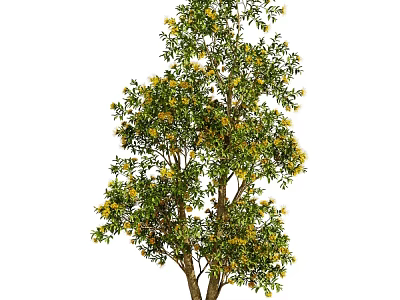 Lush Green Leafy Tree with Yellow Blossoms and Brown Trunk Isolated on White 3d model