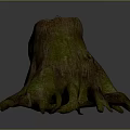 Natural Wood Stone Stump With Green Moss And Extended Tree Roots