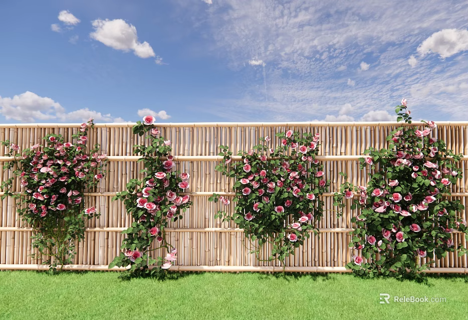 Beautiful Pink Roses Climbing Bamboo Fence With Green Grass And Blue Sky 3d model 