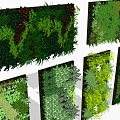 Plant wall combination 3d model