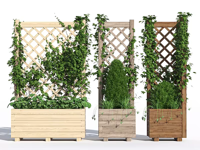Lush Vines Growing On Wooden Lattice Panels With Planter Boxes And Green Outdoor Foliage 3d model
