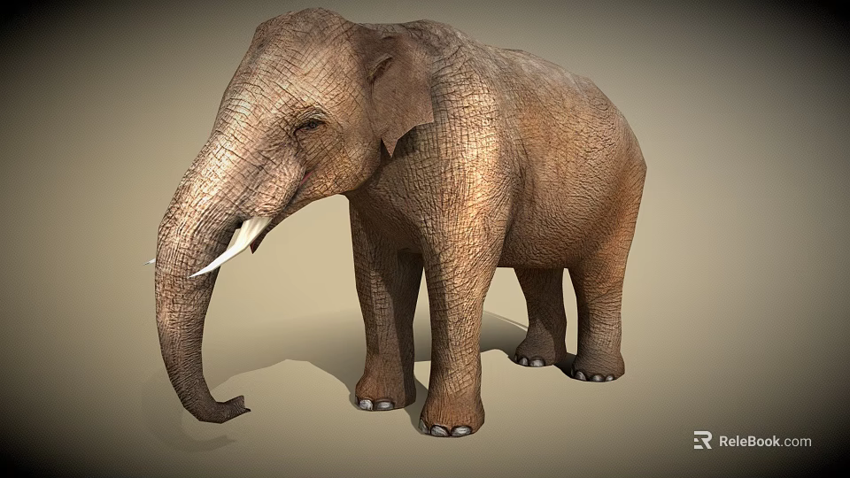 Realistic Brown Elephant With Ivory Tusks And Detailed Textured Skin 3d model 