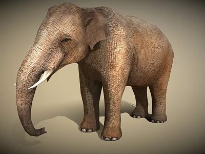 Realistic Brown Elephant With Ivory Tusks And Detailed Textured Skin 3d model