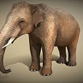 Realistic Brown Elephant With Ivory Tusks And Detailed Textured Skin
