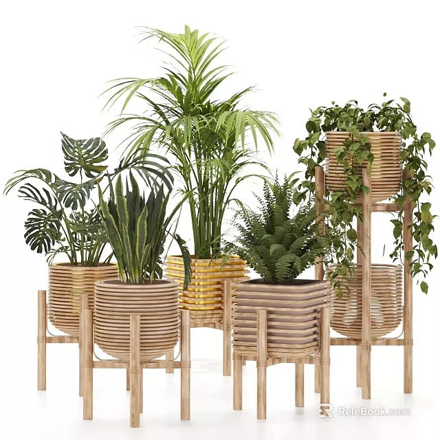 Stylish Hanging Basket Plants in Wicker Planters with Wooden Stands and Lush Greenery 3d model 